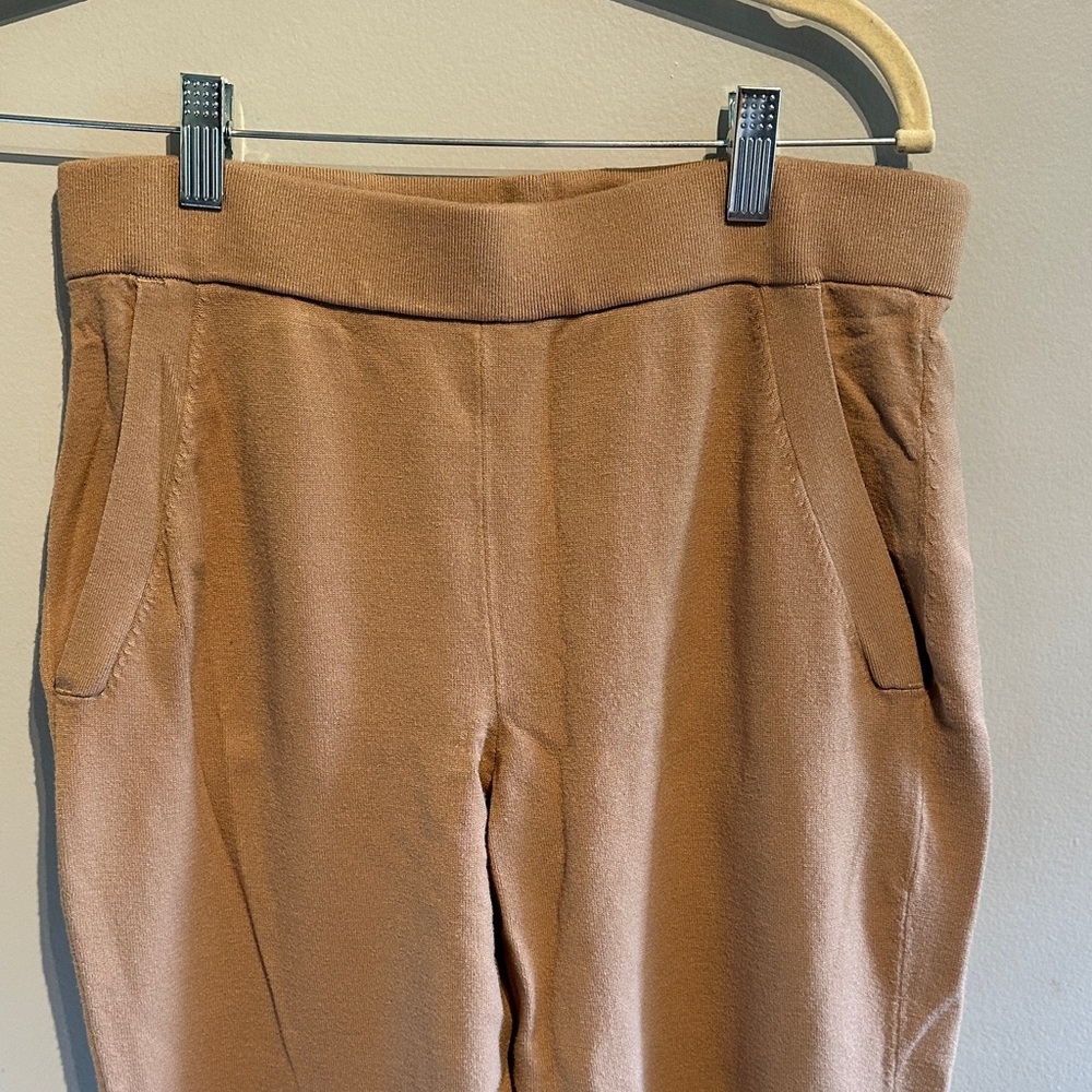 Babaton Gold Camel Rodin Jogger - Picture 9 of 14